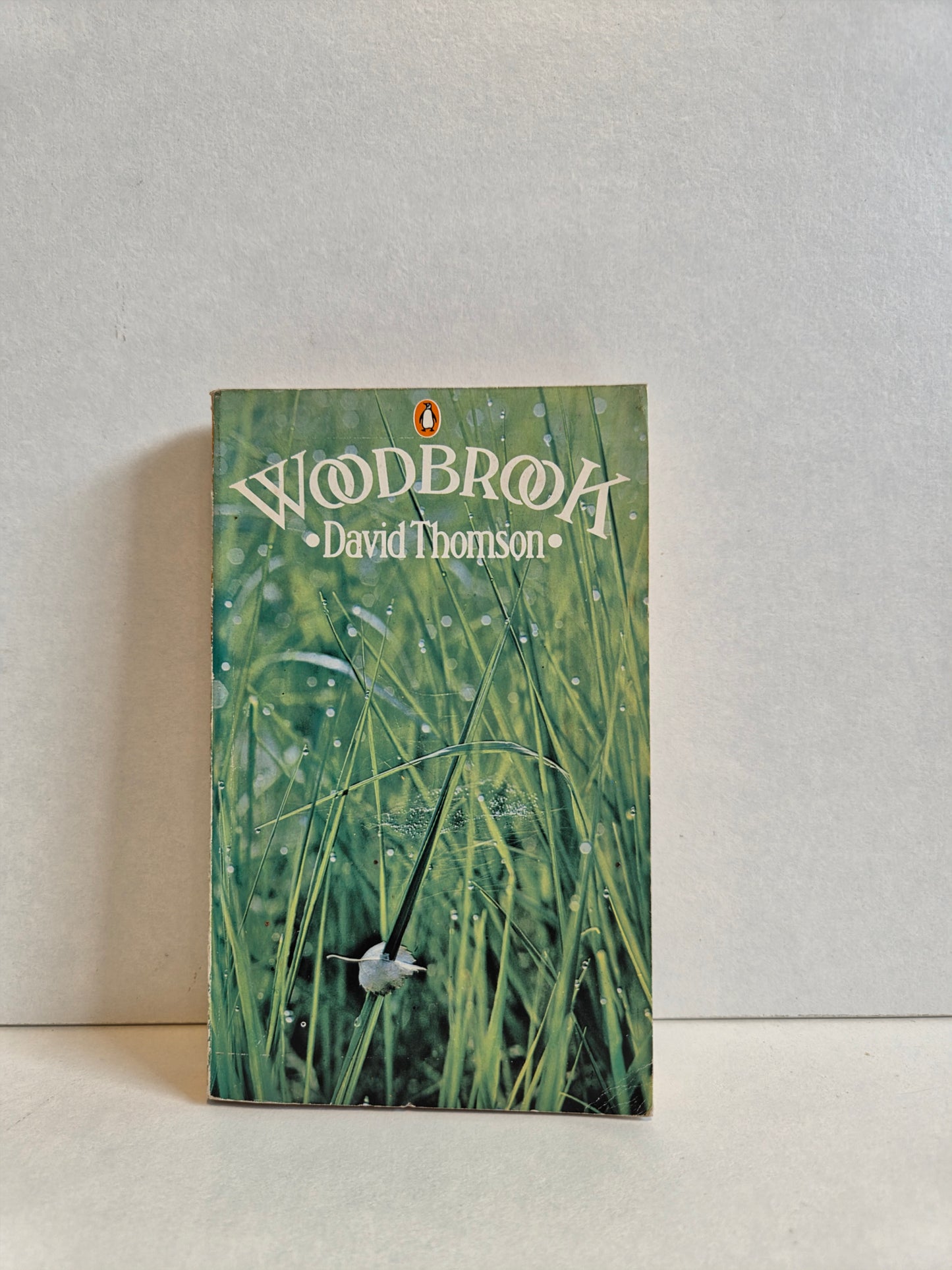 Woodbrook by David Thomas (1974)