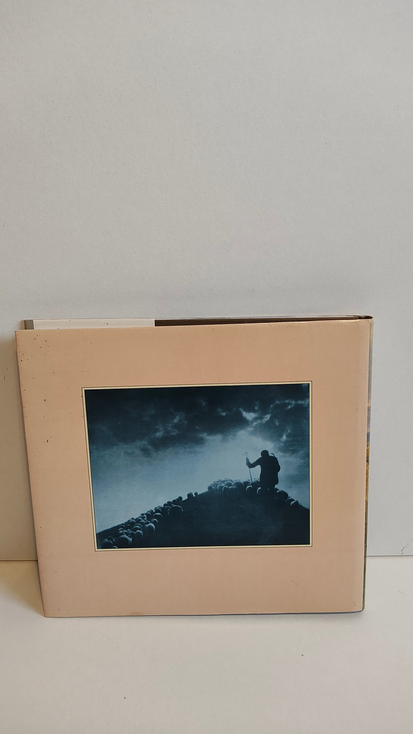 Barclay Wills' The Downland Shepherds (1989)