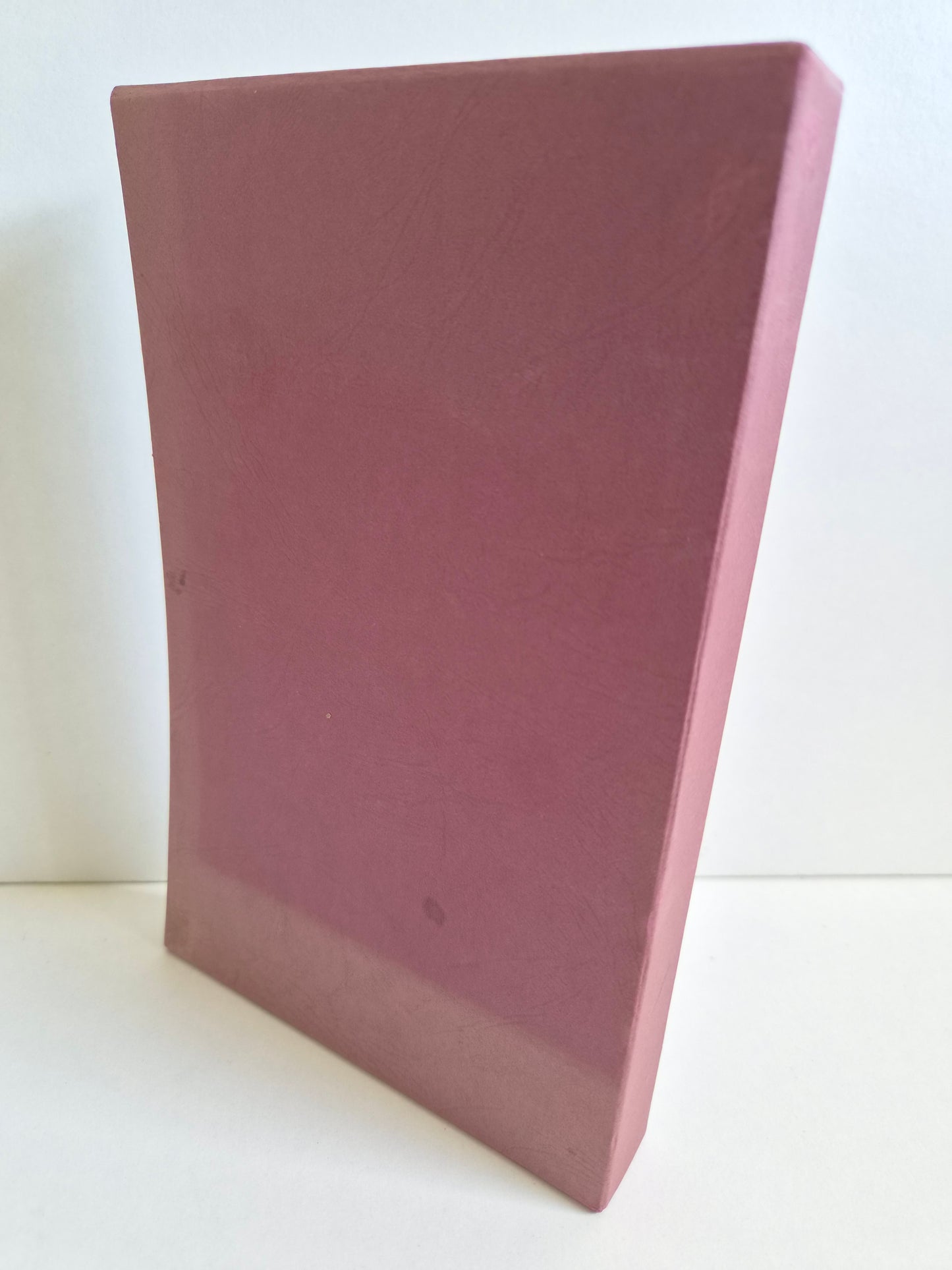 The Two Heroines of Plumlington and Other Stories by Anthony Trollope (1981)