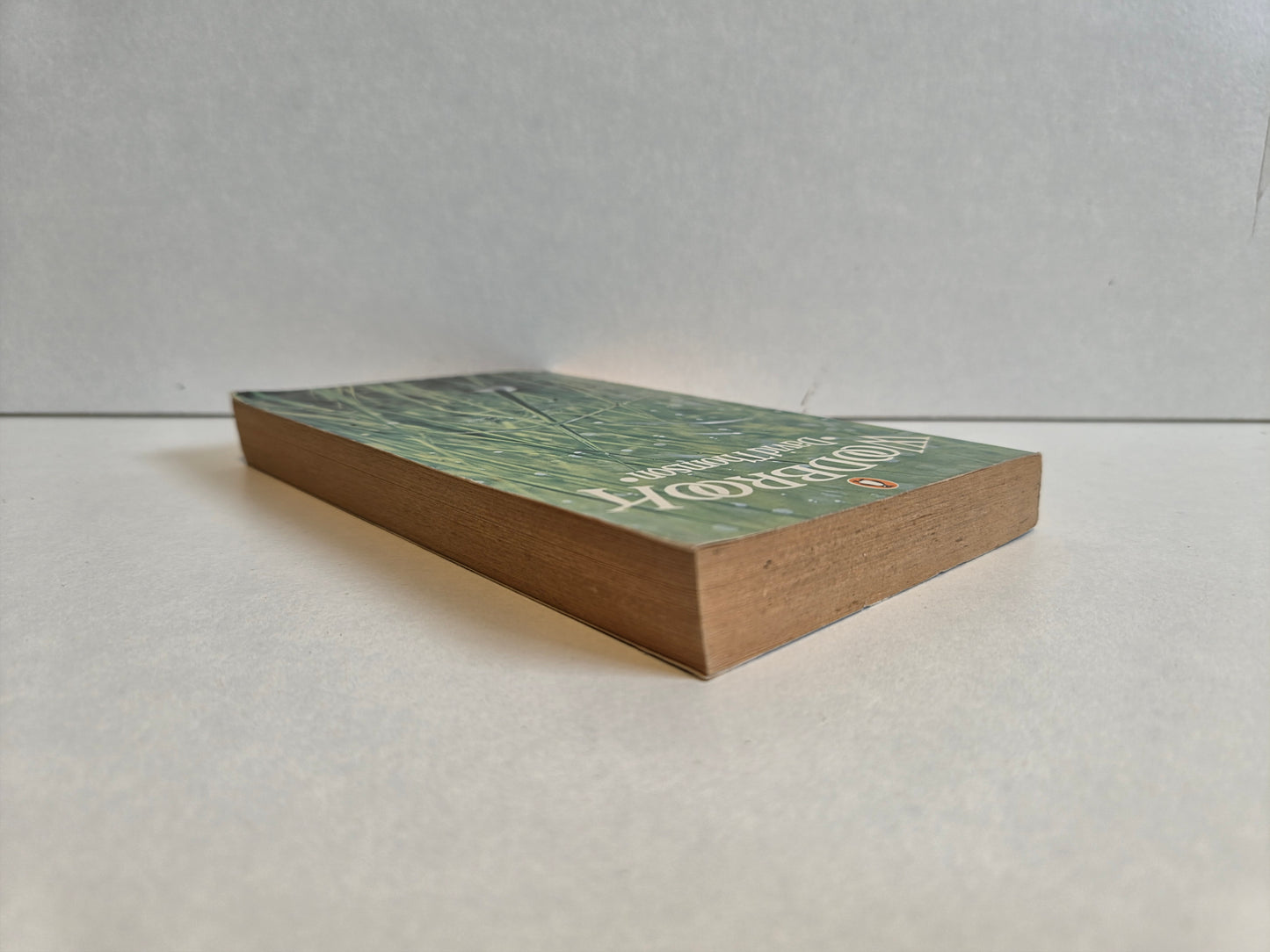Woodbrook by David Thomas (1974)