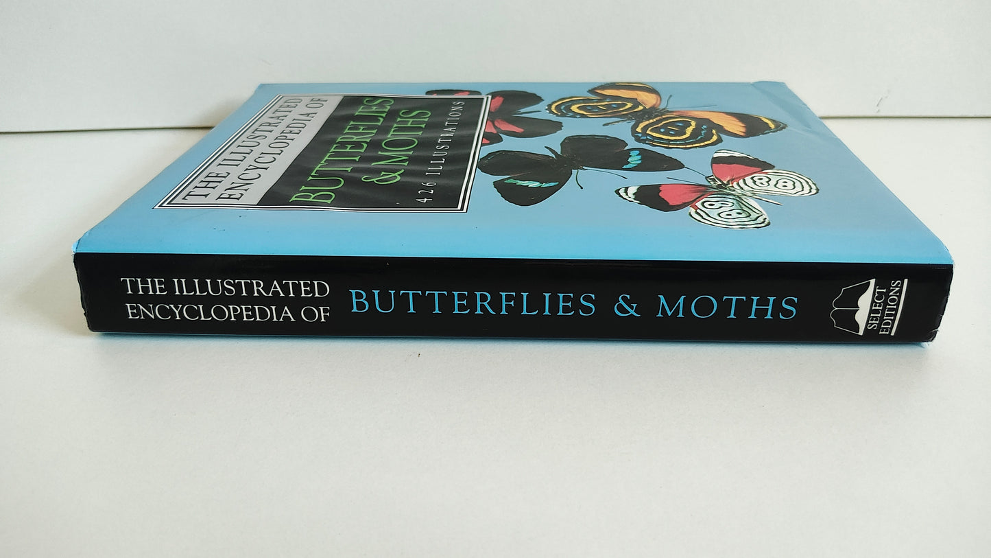 The Illustrated Encyclopedia of Butterflies & Moths by Dr V J Stanek (1992)