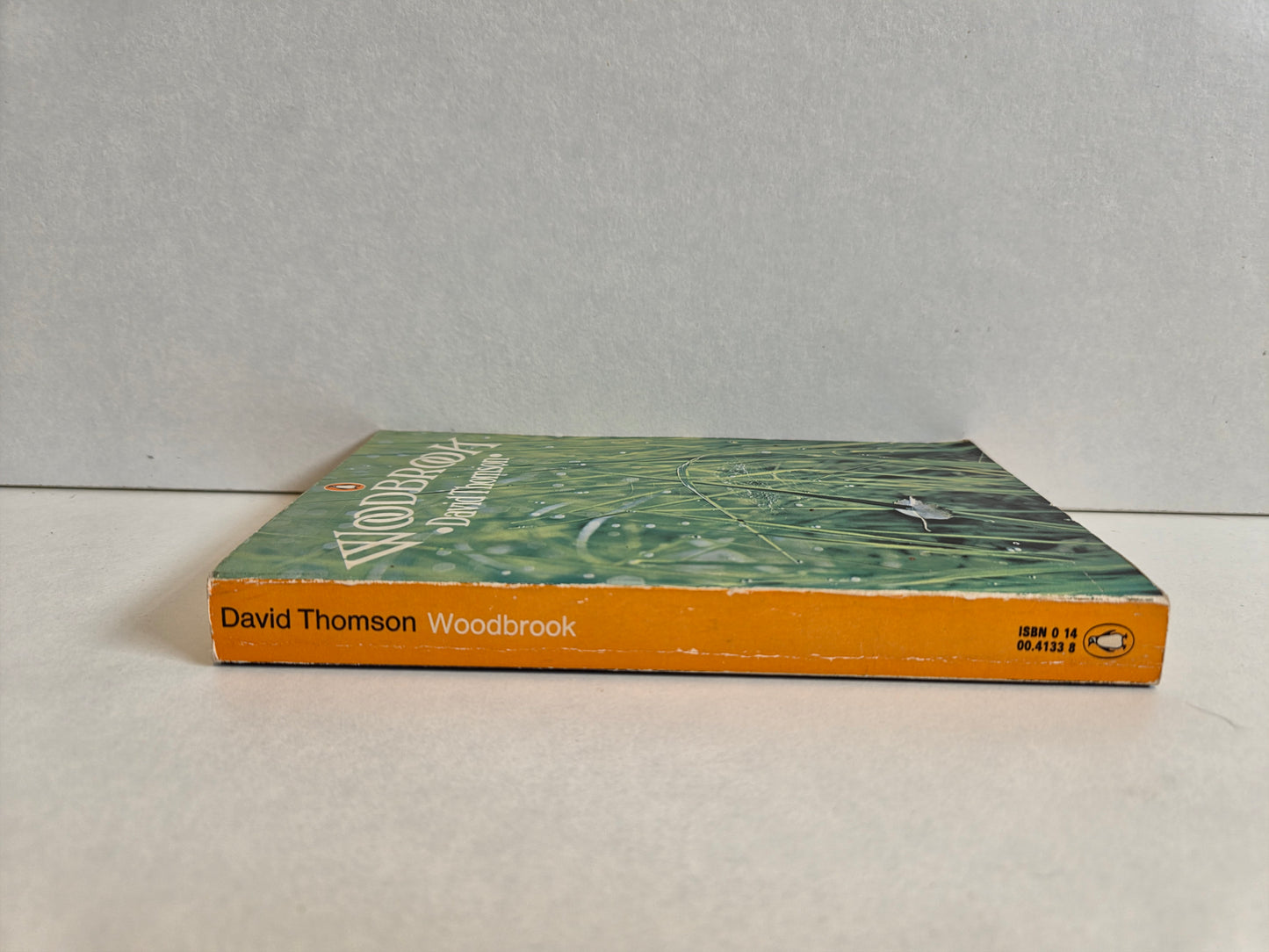 Woodbrook by David Thomas (1974)
