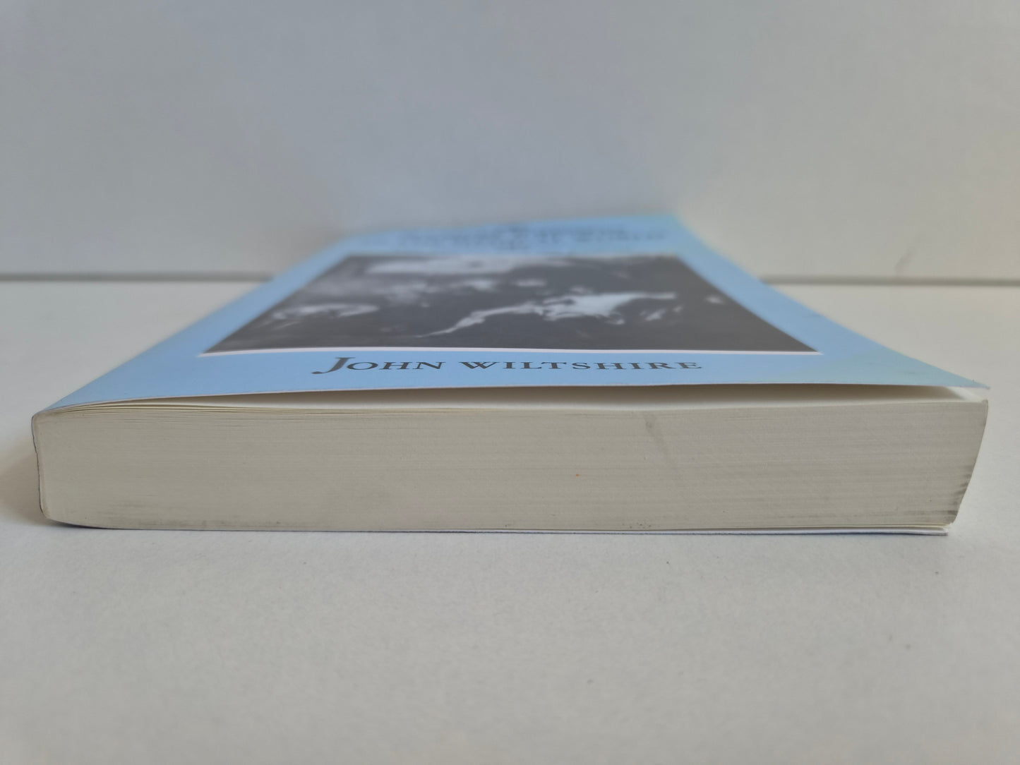 Samuel Johnson in the Medical World by John Wiltshire