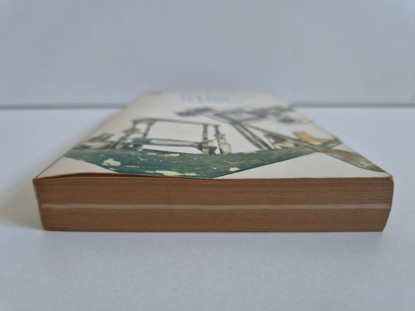 The Pyramids of Egypt by I E S Edwards (1970)