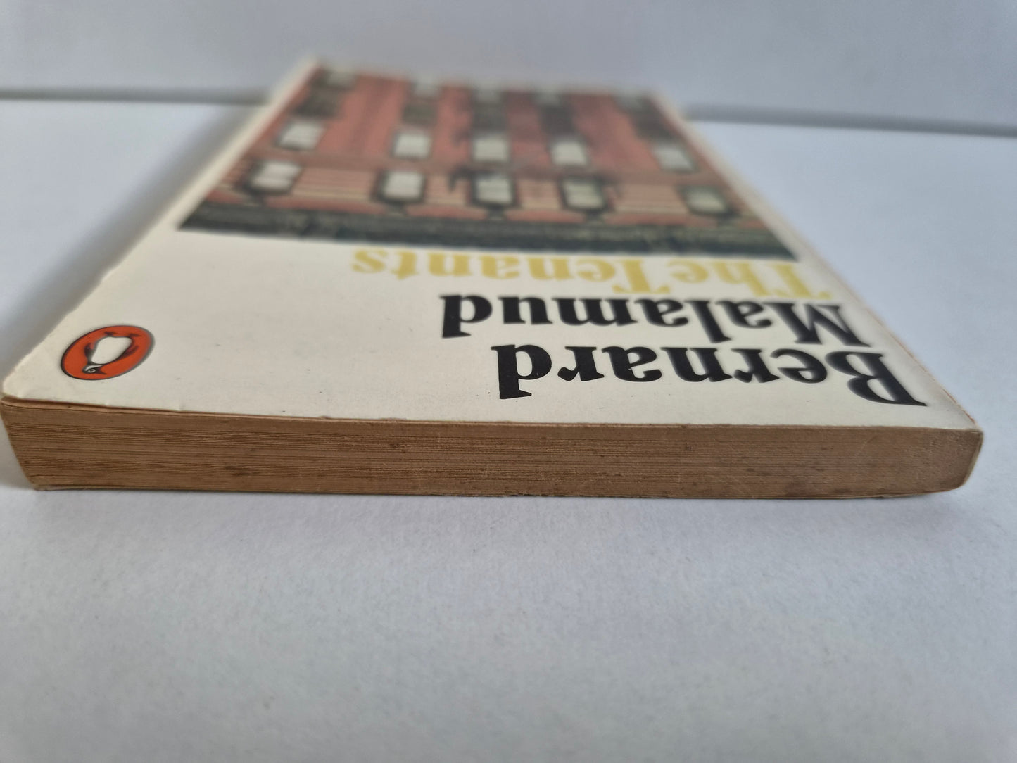 The Tenants by Bernard Malamud (1976)