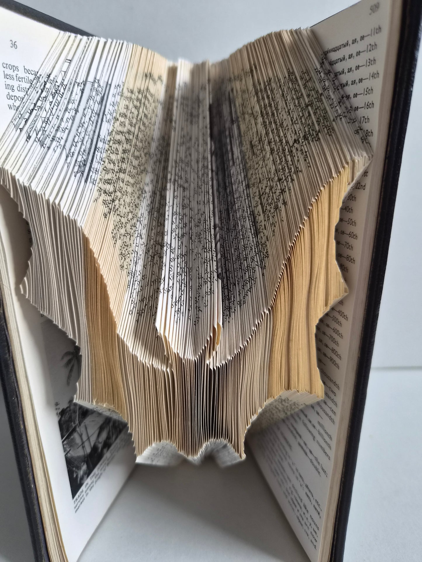 Folded Book Art Bat (Black Cover)
