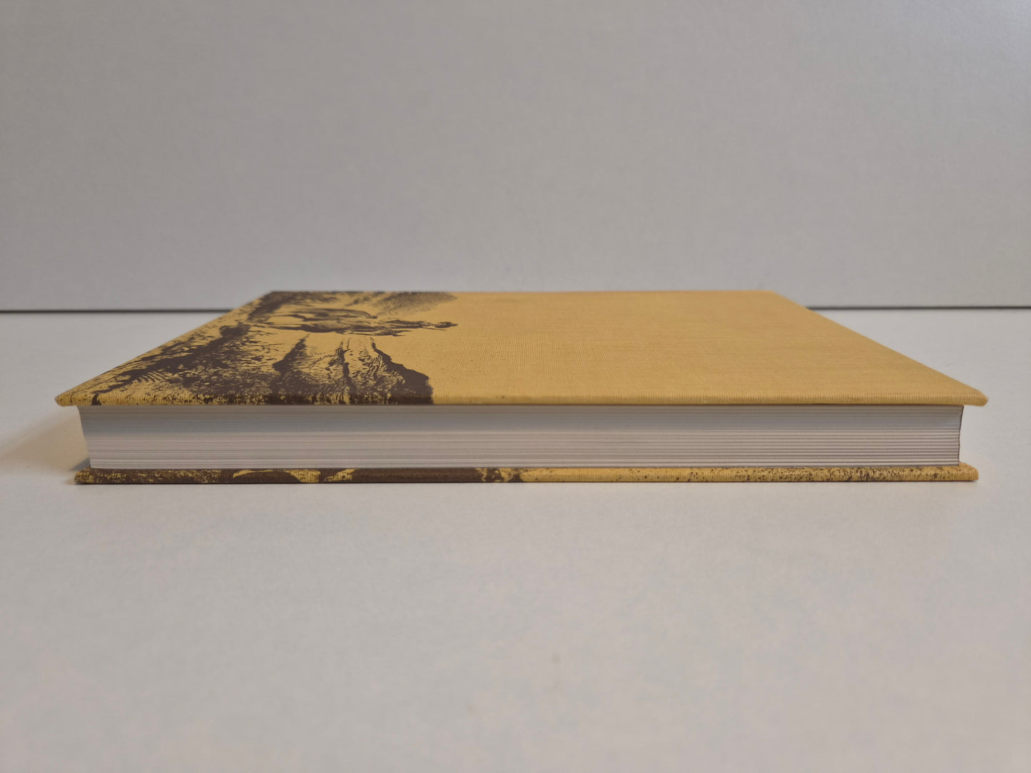 The Virginian by Owen Wister (1981)