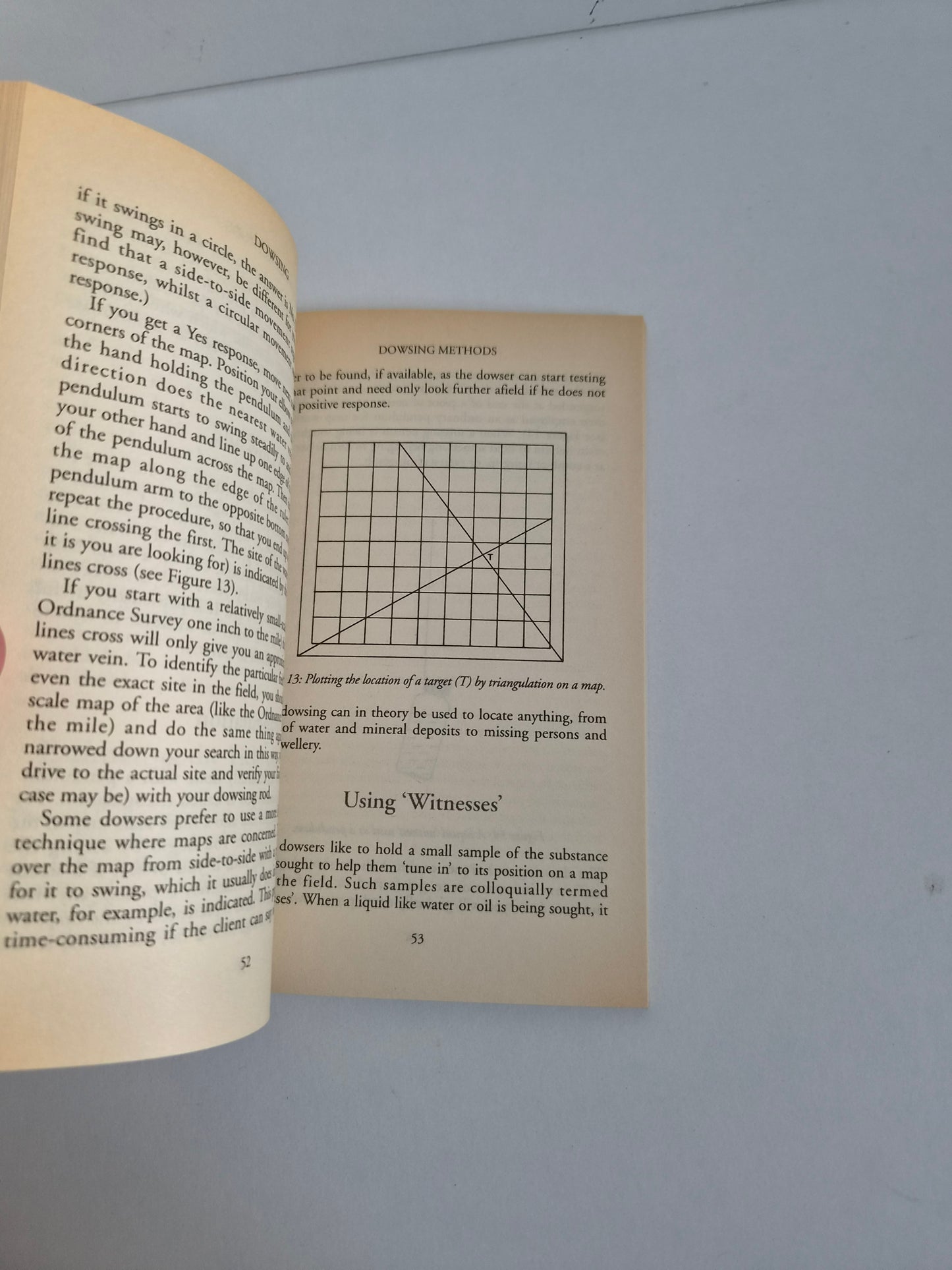 Dowsing by Rodney Davies (1991)