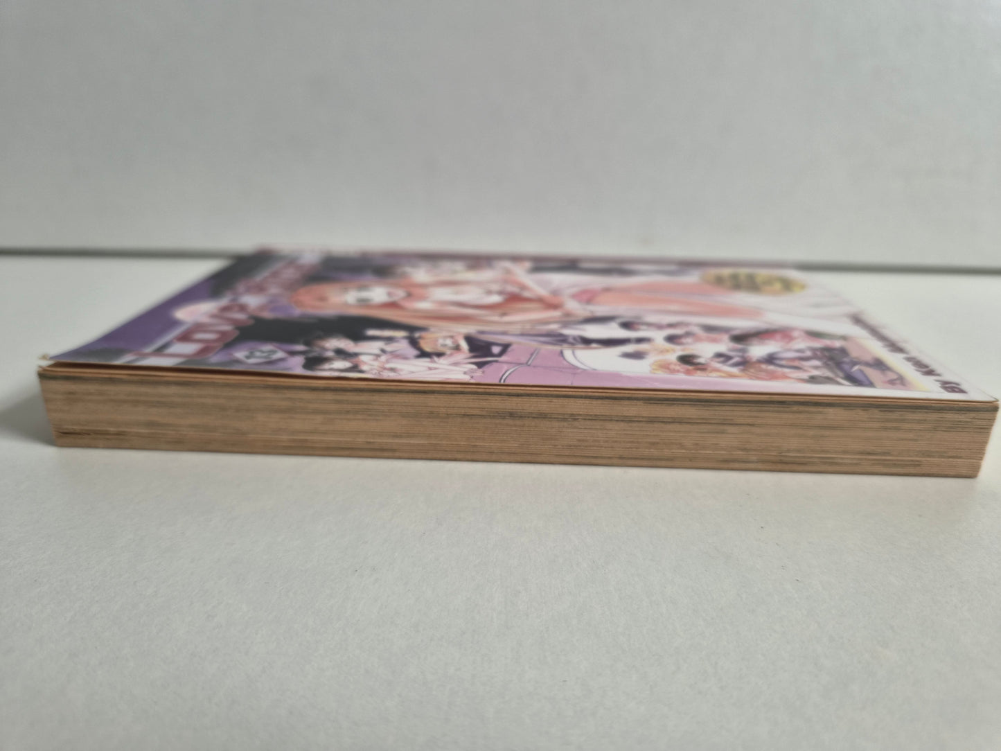 Love Hina Volume 13 by Ken Akamatsu (2003)