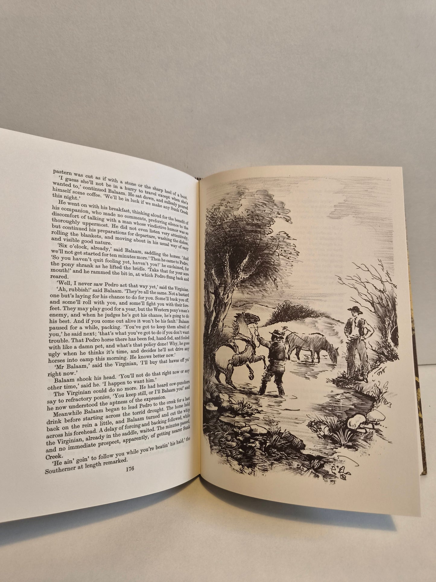 The Virginian by Owen Wister (1981)