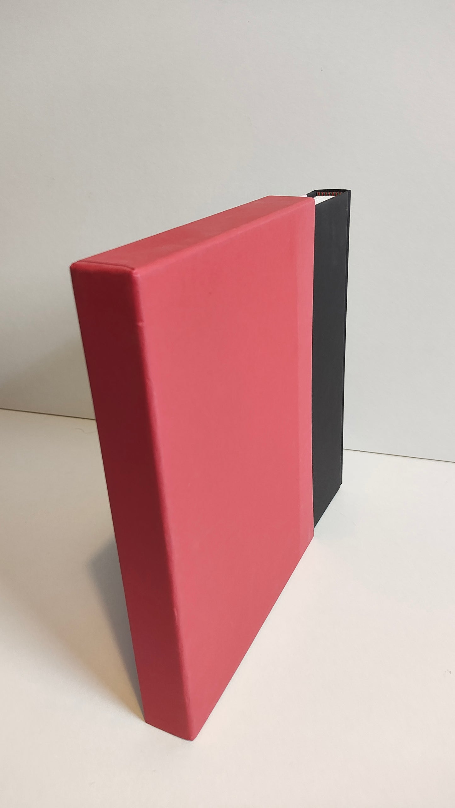 Inventions of the Middle ages by Chiara Frugoni (2009)