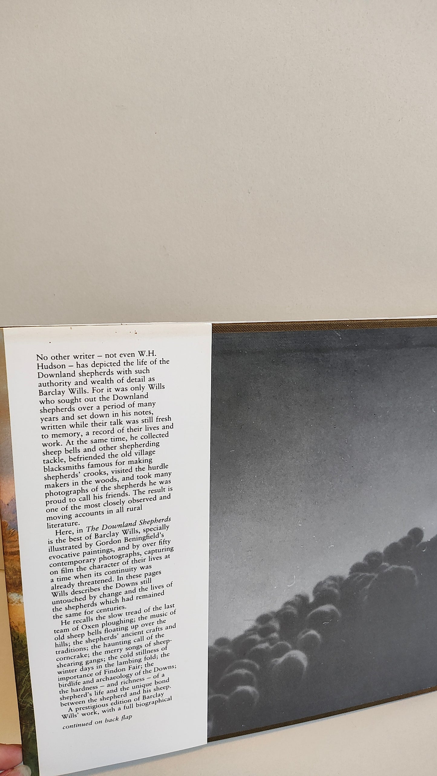 Barclay Wills' The Downland Shepherds (1989)