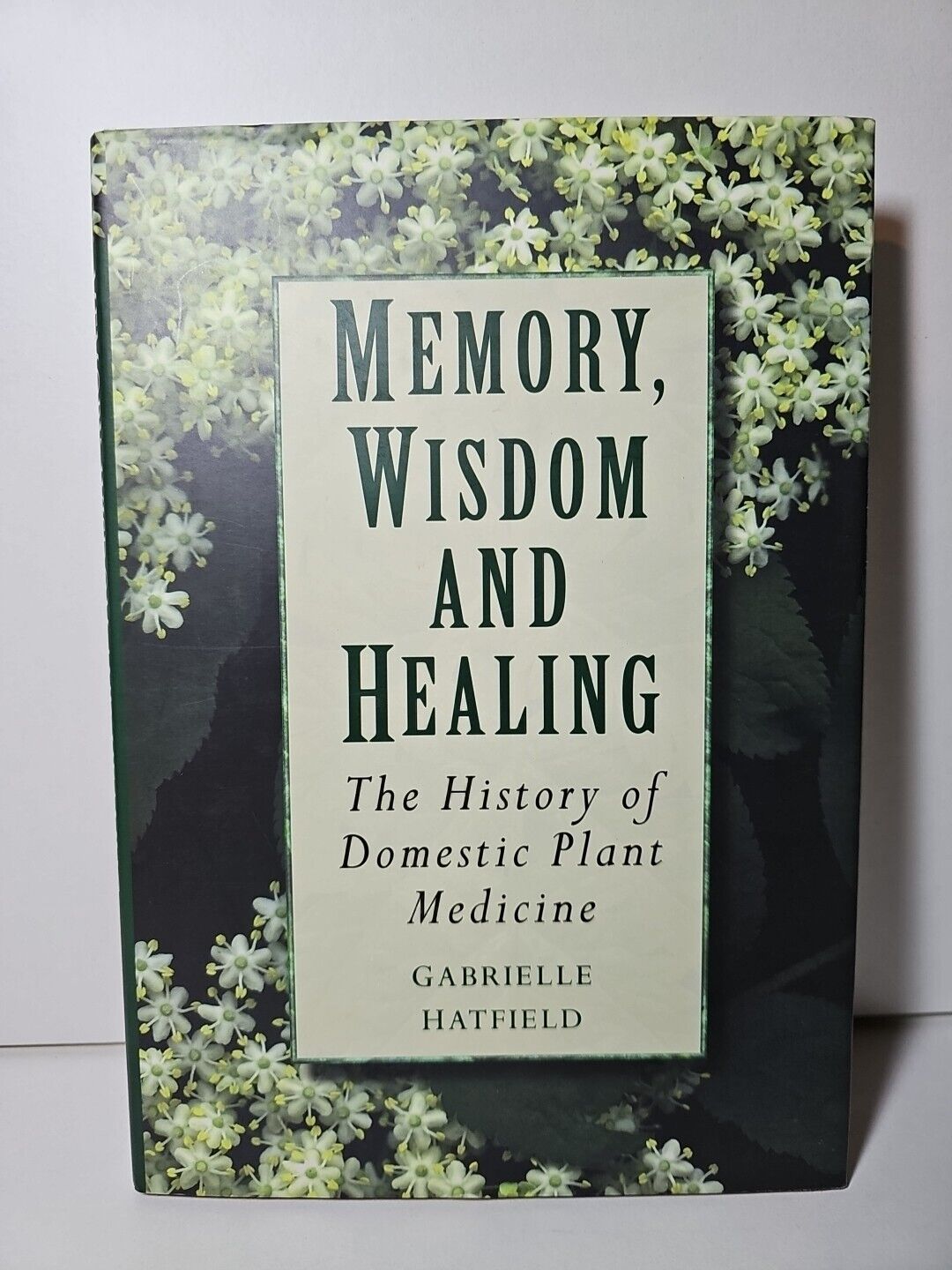 Memory, Wisdom and Healing: The History of Domestic Plant Medicine by G Hatfield