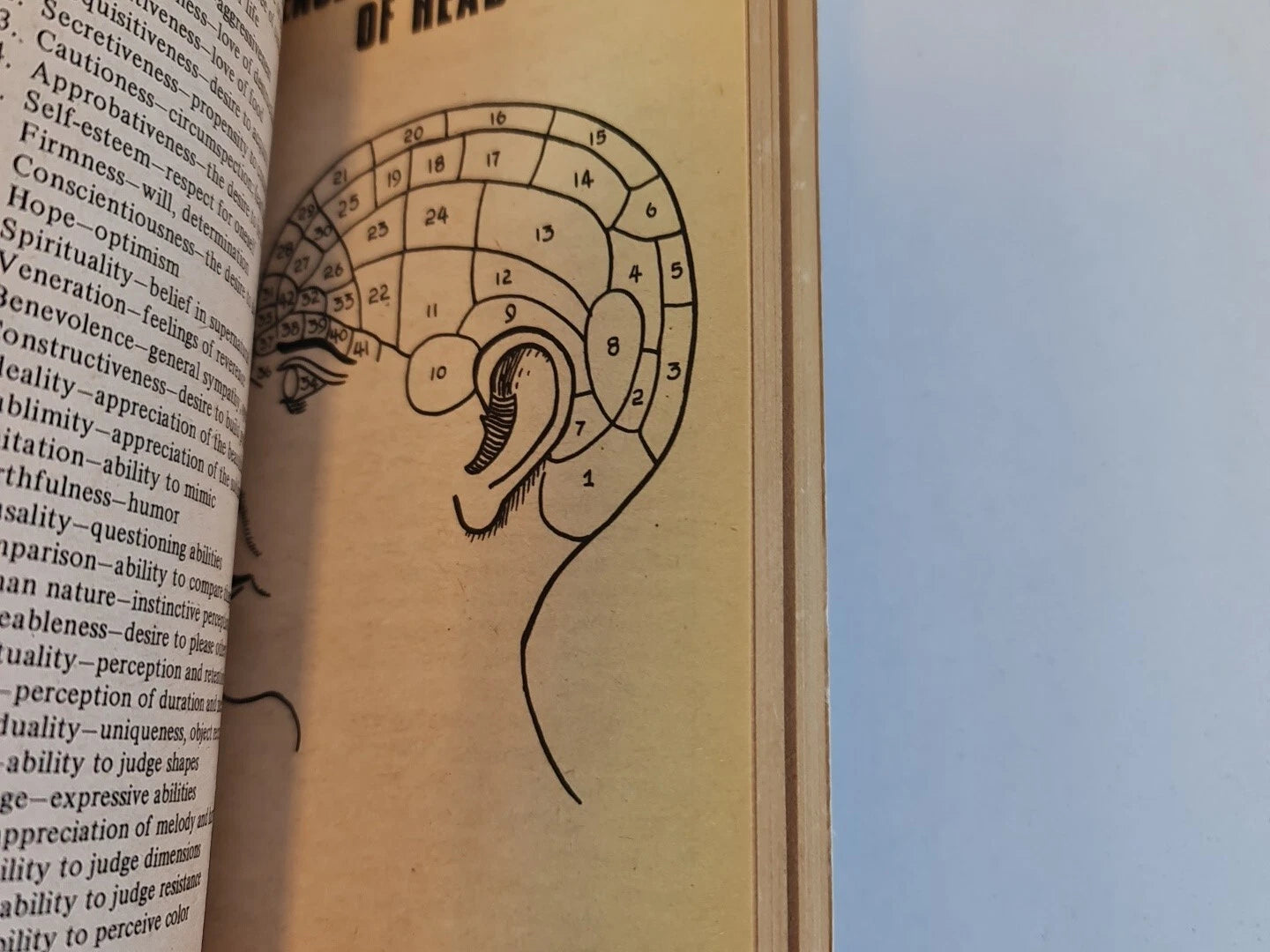Your Practical Guide to Fortune-Telling by Rob Davies (1974)