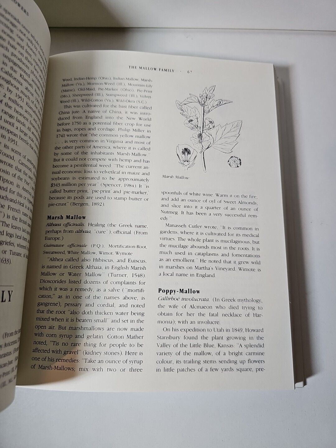 The History and Folklore of North American Wildflowers by T. Coffey (1993)