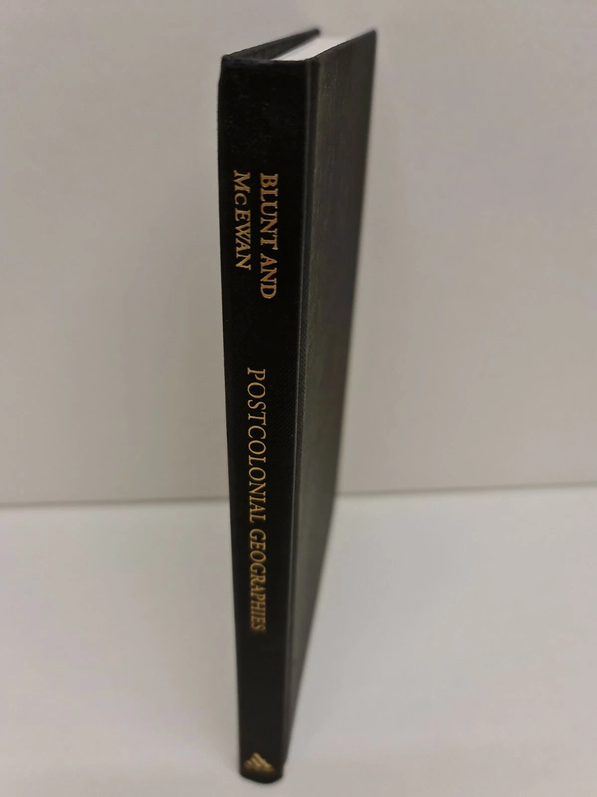 Postcolonial Geographies by Alison Blunt, Cheryl McEwan (2002)