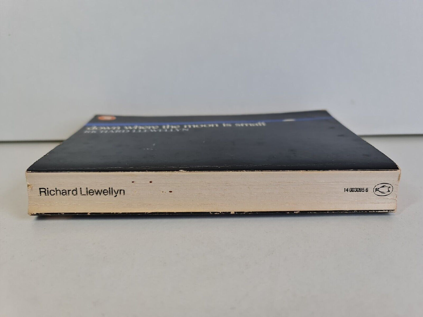 Down Where the Moon is Small by Richard Llewellyn (1970)