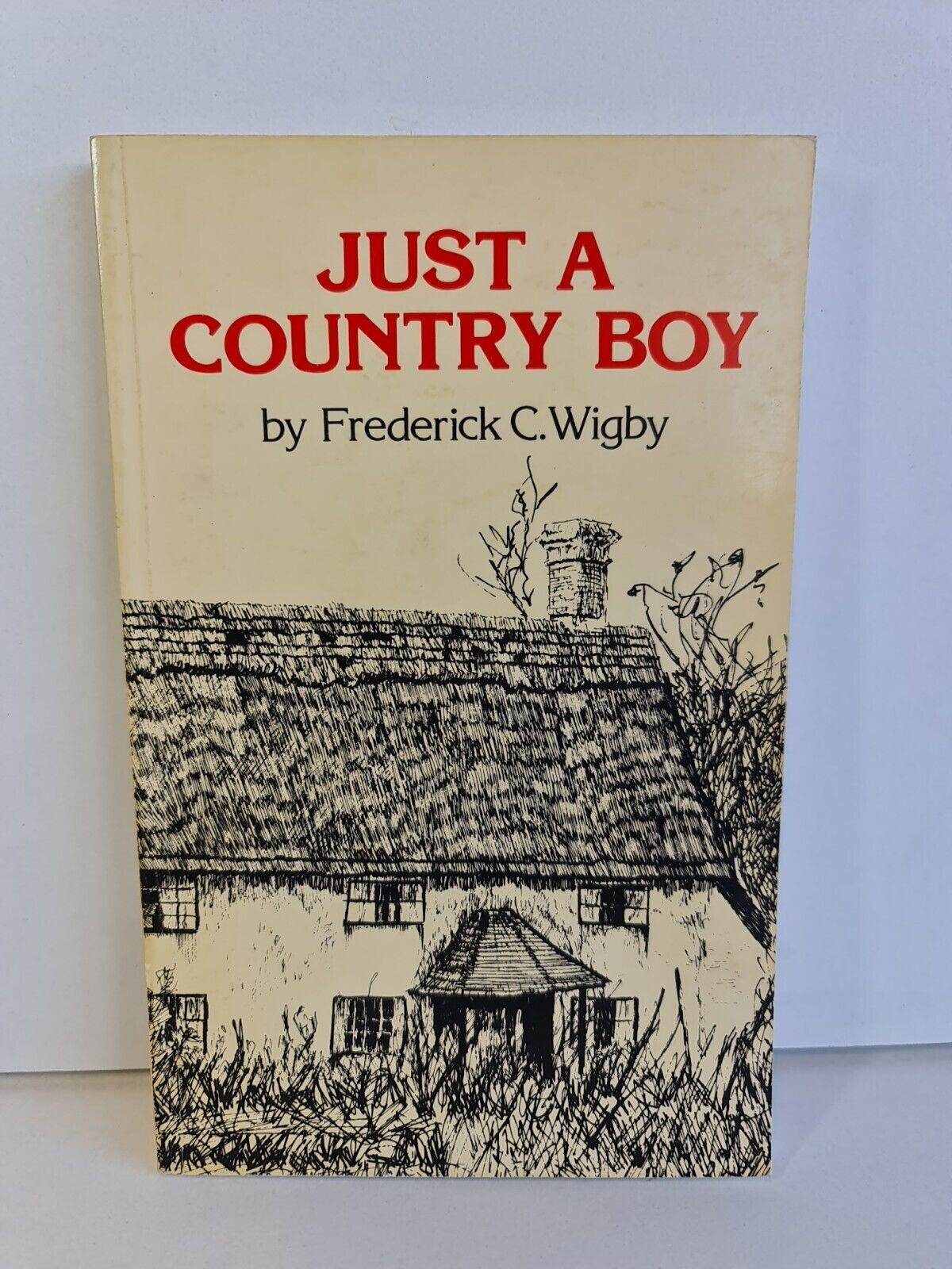 Just A Country Boy by Frederick Wigby (1984)