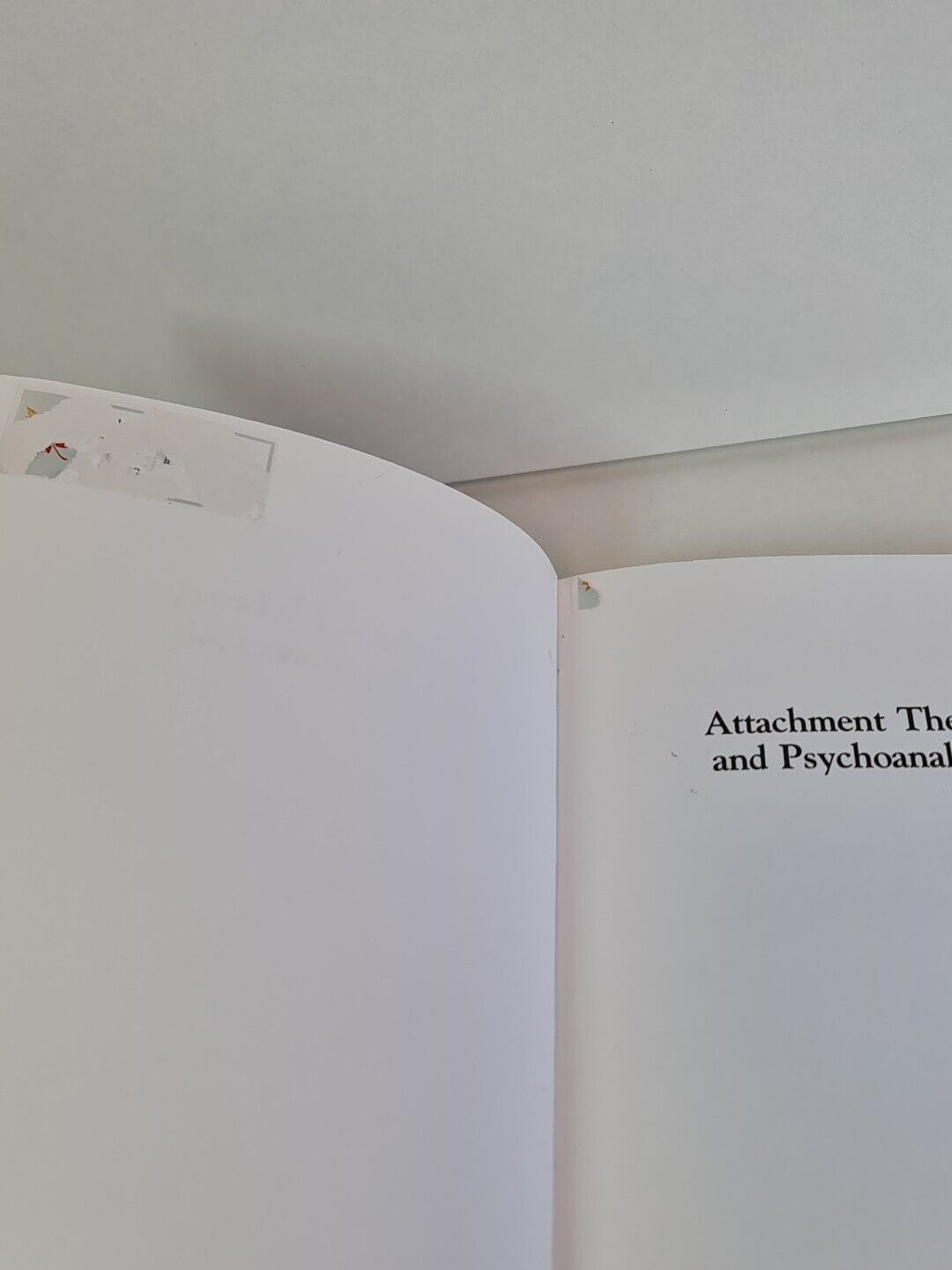 Attachment Theory and Psychoanalysis by Peter Fonagy (2001)