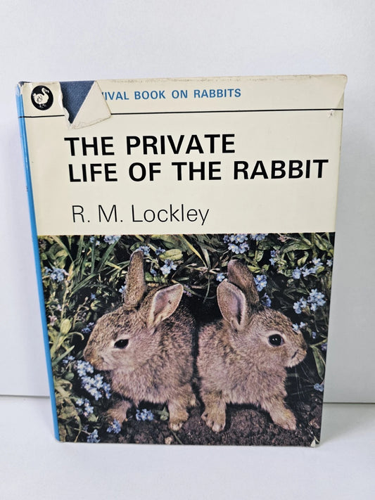 The Private Life of the Rabbit by RM Lockley (1964)