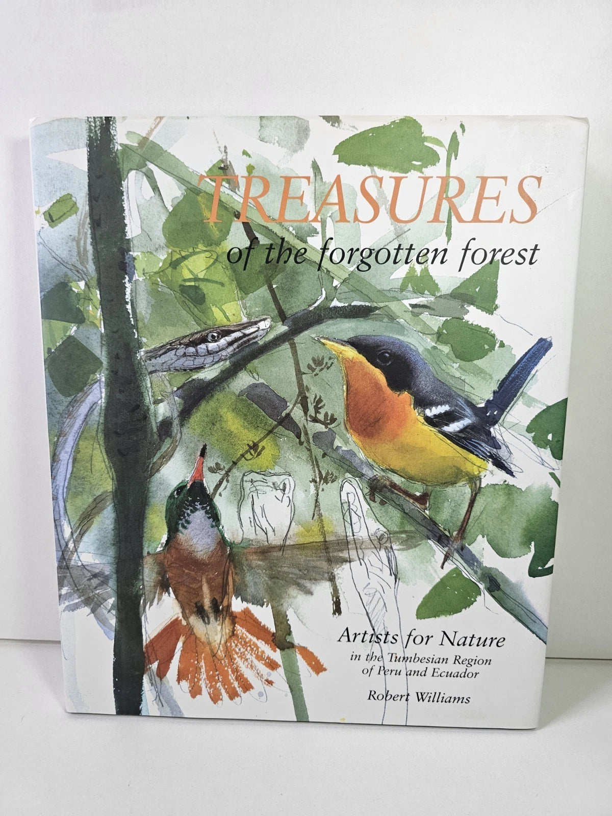 Treasures of the Forgotten Forest: Artists for Nature in Peru and Ecuador