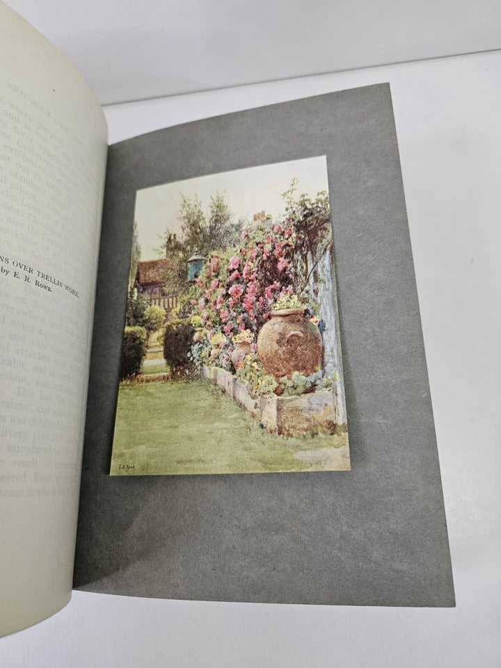 Roses and Rose Gardens by Walter Wright (1914)