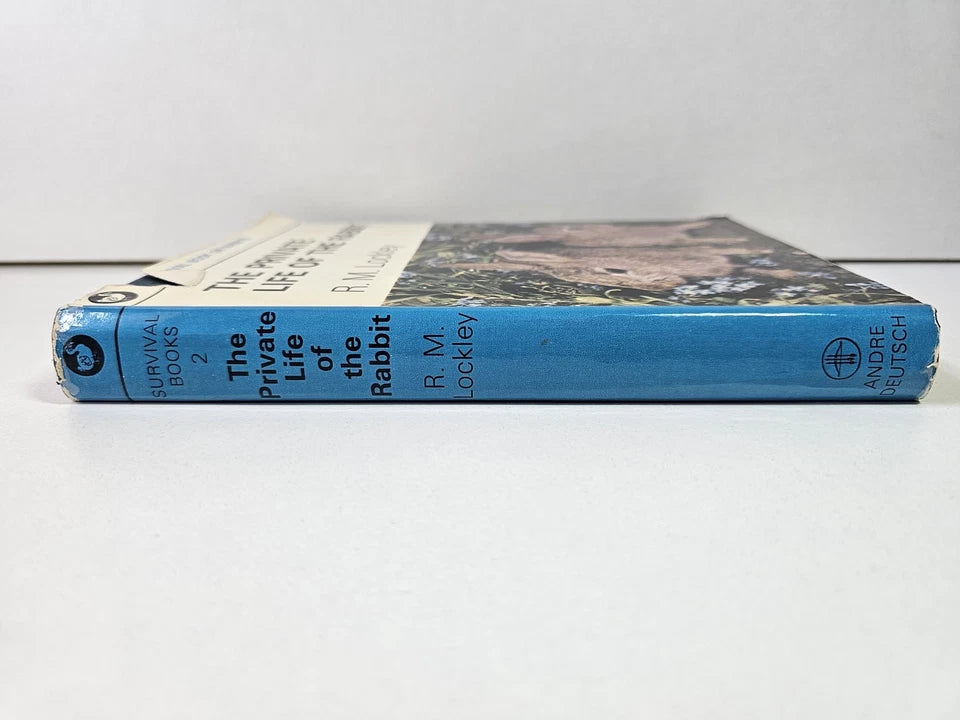 The Private Life of the Rabbit by RM Lockley (1964)