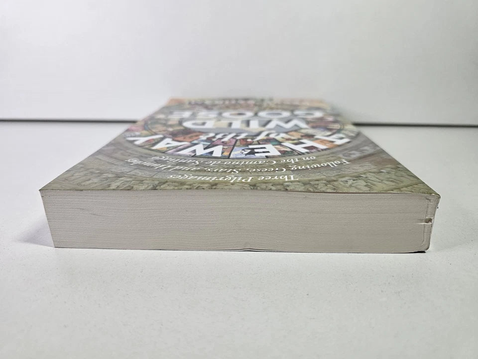 Way of the Wild Goose by Beebe Bahrami (2022)