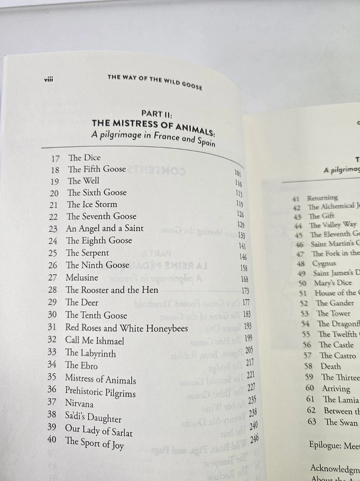 Way of the Wild Goose by Beebe Bahrami (2022)