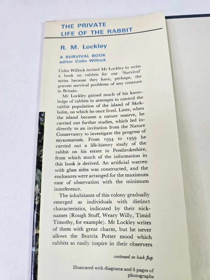 The Private Life of the Rabbit by RM Lockley (1964)