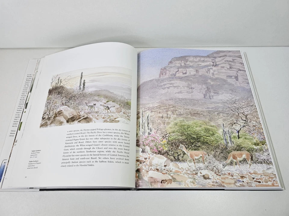 Treasures of the Forgotten Forest: Artists for Nature in Peru and Ecuador