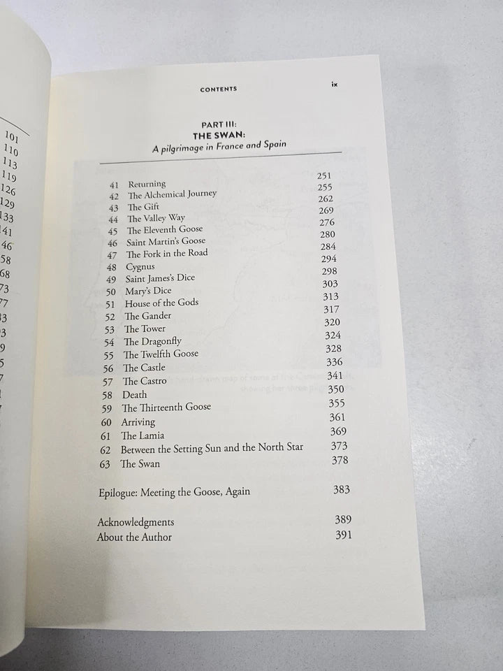 Way of the Wild Goose by Beebe Bahrami (2022)