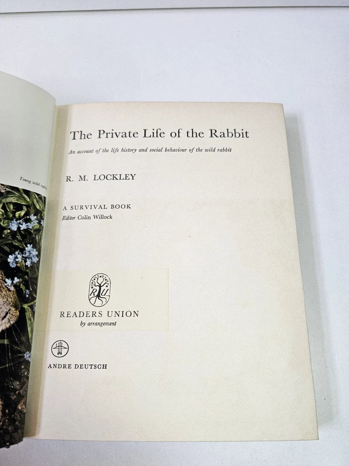The Private Life of the Rabbit by RM Lockley (1964)
