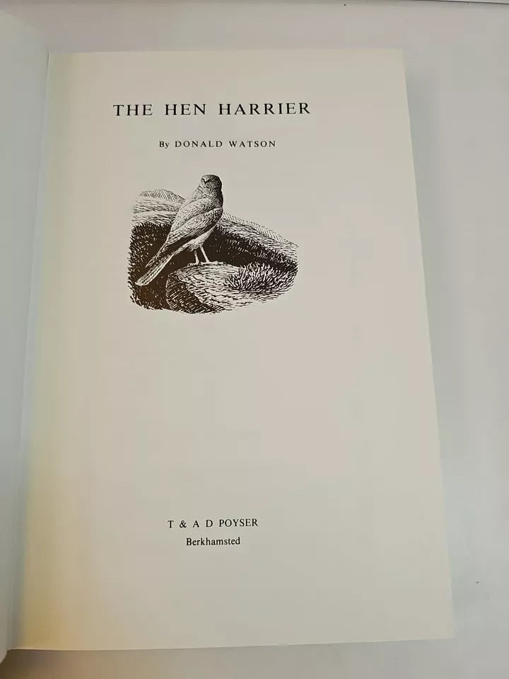 The Hen Harrier by Donald Watson (1977)