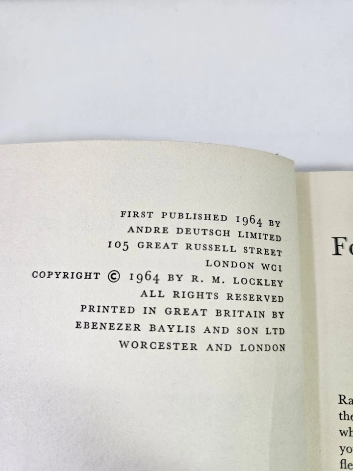The Private Life of the Rabbit by RM Lockley (1964)