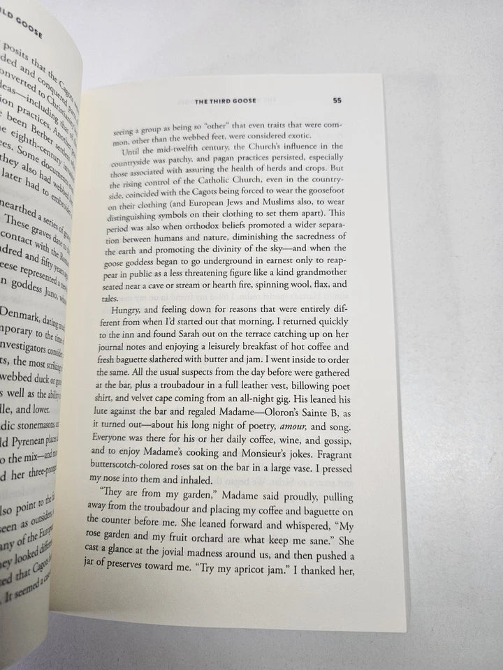 Way of the Wild Goose by Beebe Bahrami (2022)