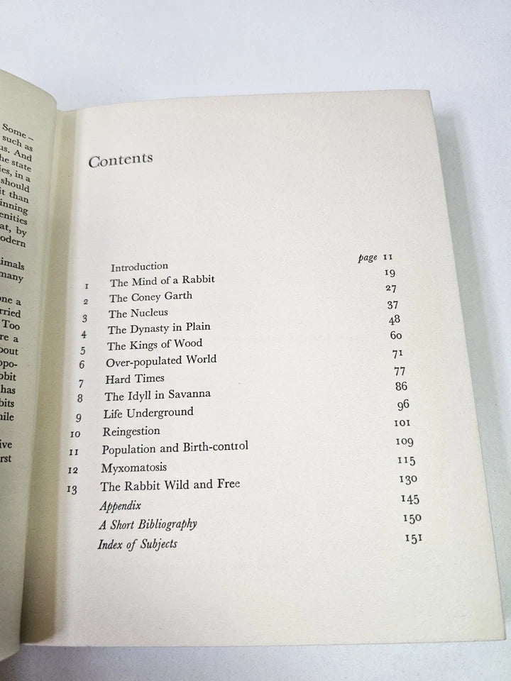 The Private Life of the Rabbit by RM Lockley (1964)