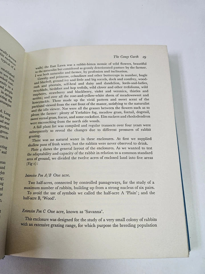The Private Life of the Rabbit by RM Lockley (1964)