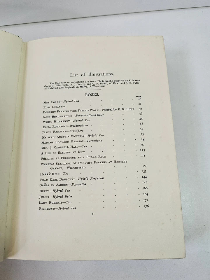 Roses and Rose Gardens by Walter Wright (1914)