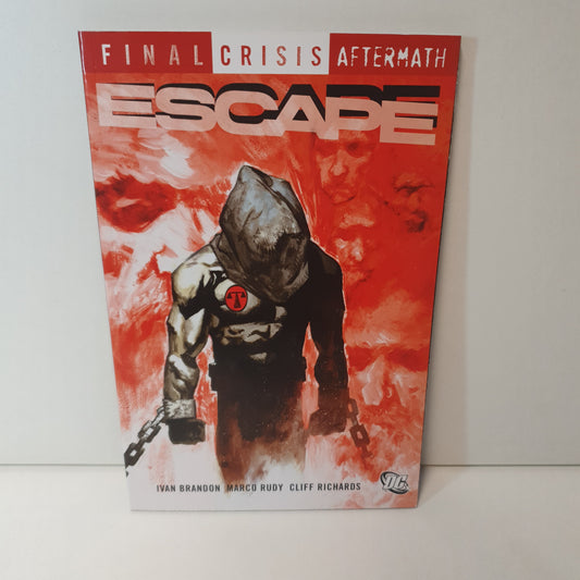 Final Crisis Aftermath: Escape by Brandon, Rudy & Richards (2009)