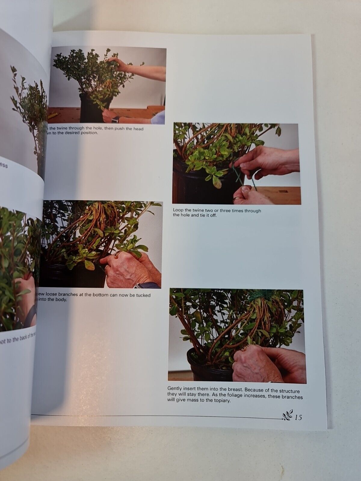 Basic Topiary: A Living Approach by Dean Myers (2010)