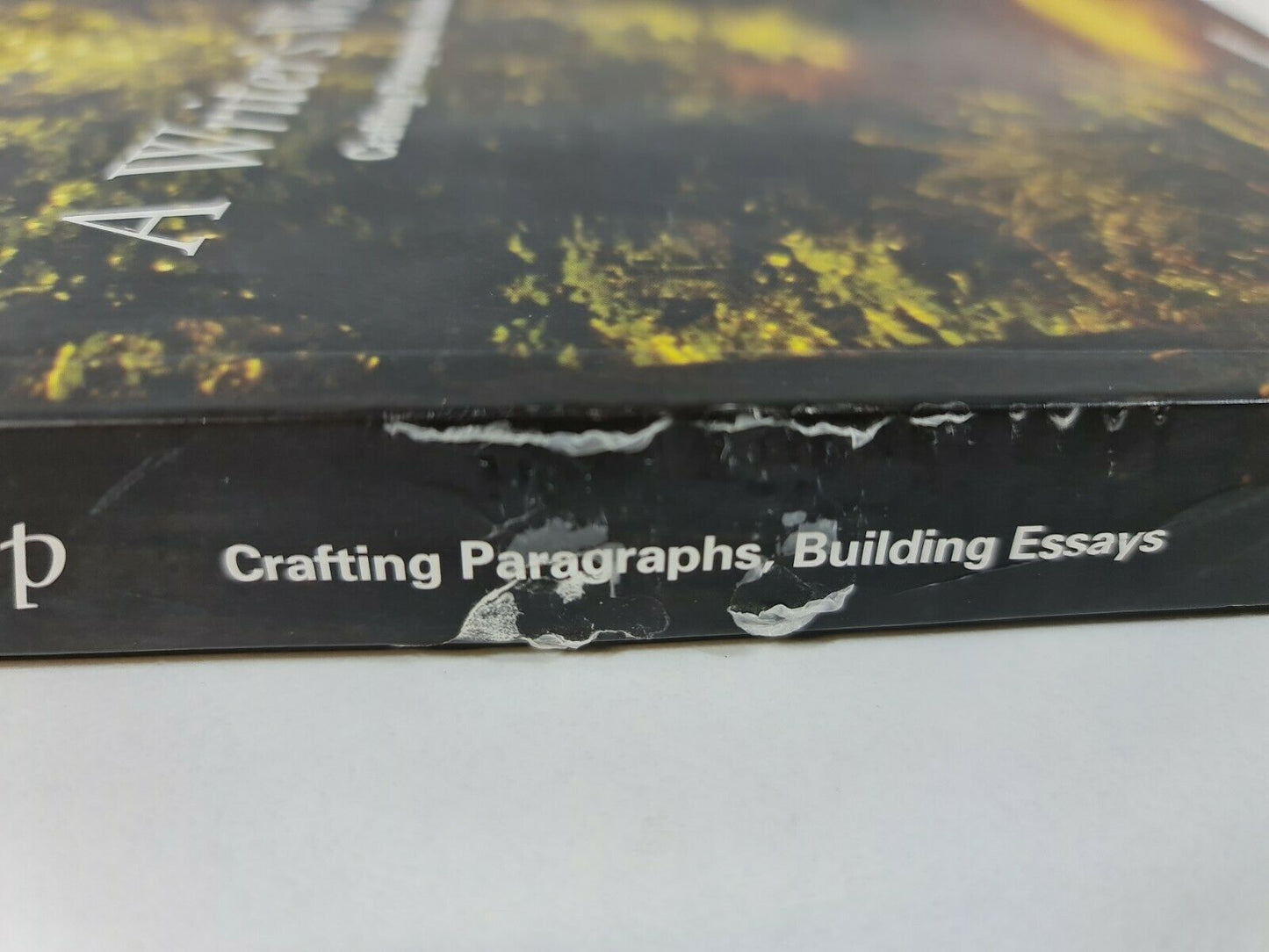 A Writer's Workshop: Crafting Paragraphs, Building Essays by Bob Brannan